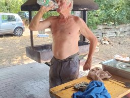 Barbecue 2026